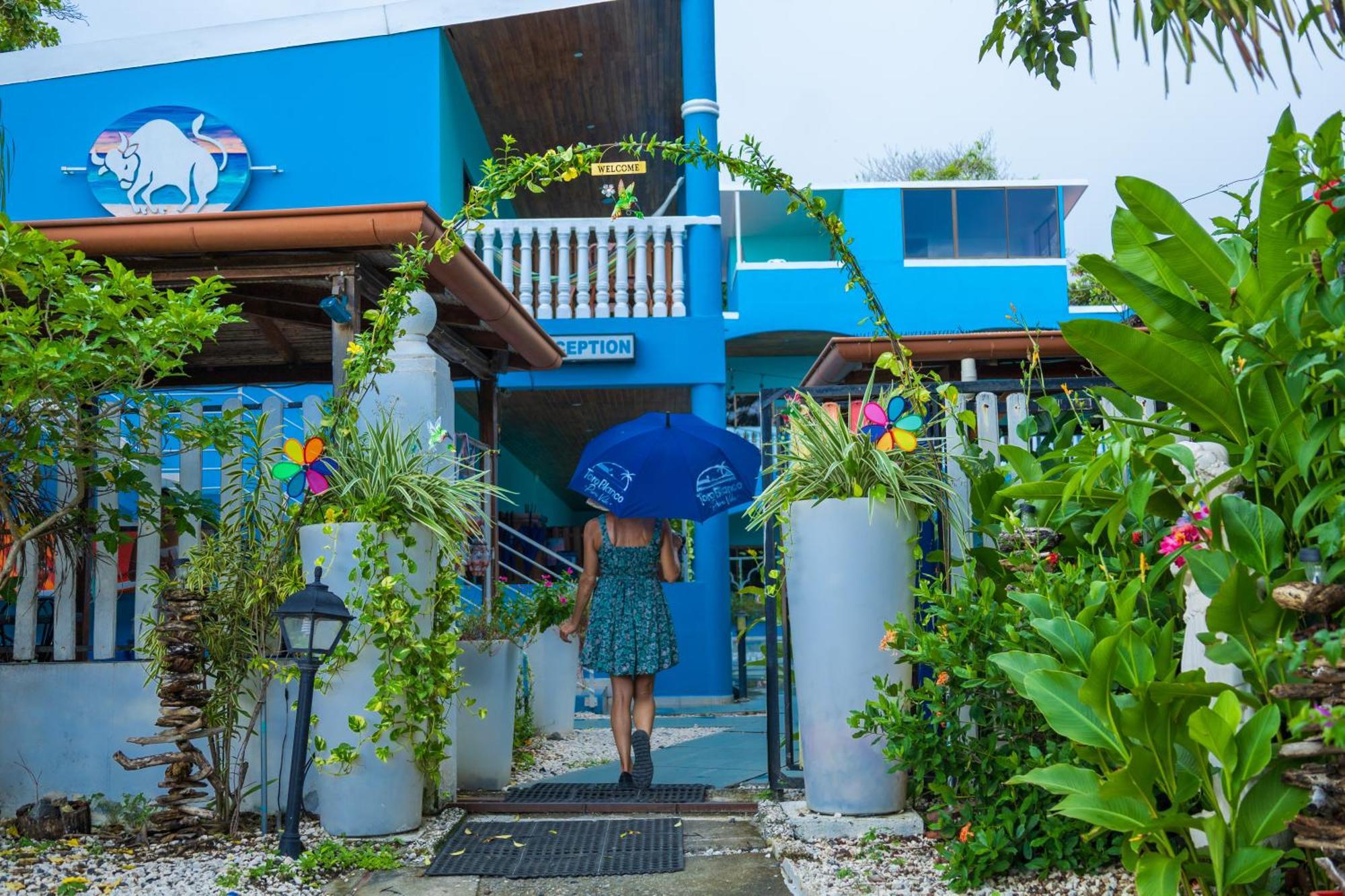 Toro Blanco Aparthotel Coco Exterior photo